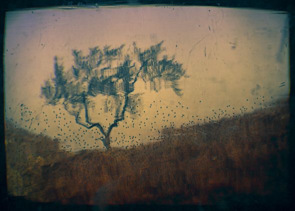 Evocación II